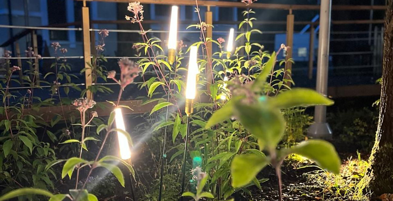 ландшафтные светильники Canna бренда Odeon Light