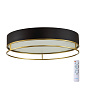 7723/65L AVRA LED SN 593 Светильник металл/пластик/белый/черный/золотой LED 65Вт 3000-6000K D450 IP20 пульт ДУ LOFTY